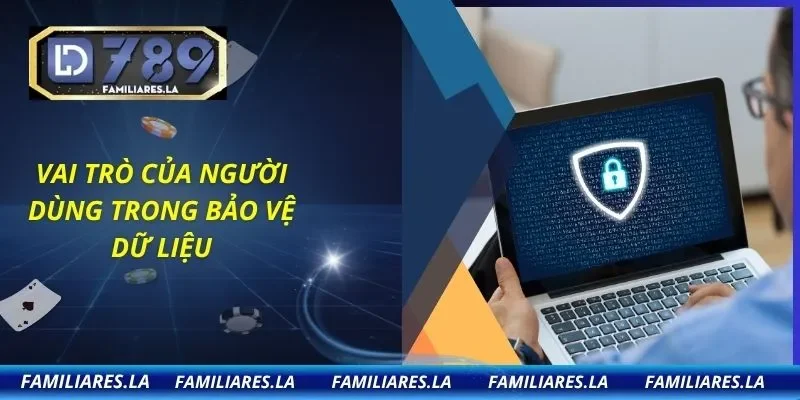Vai trò của người dùng trong bảo vệ dữ liệu