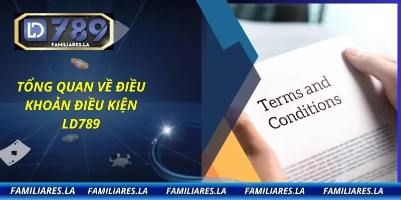 Tổng quan về Điều Khoản Điều Kiện LD789