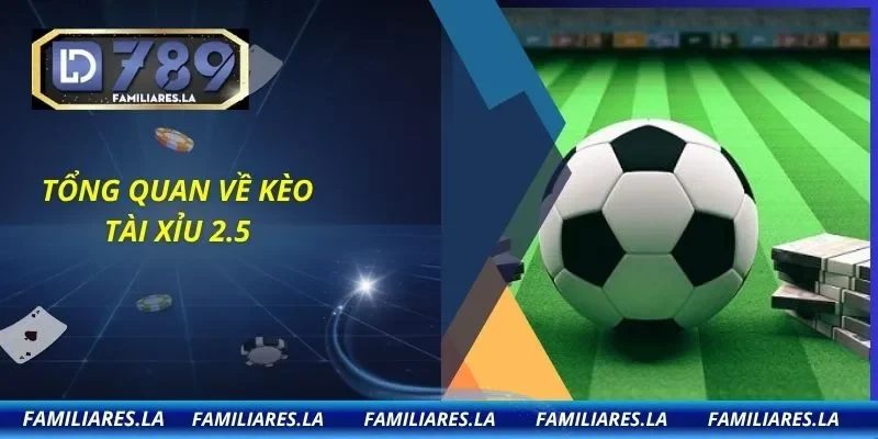 Tổng quan về kèo tài xỉu 2.5