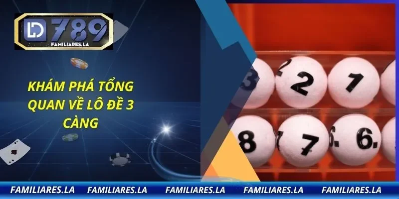 Khám phá tổng quan về lô đề 3 càng