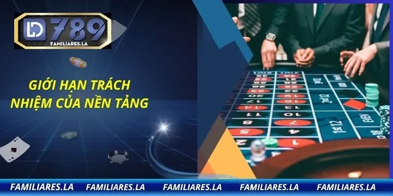 Giới hạn trách nhiệm của nền tảng