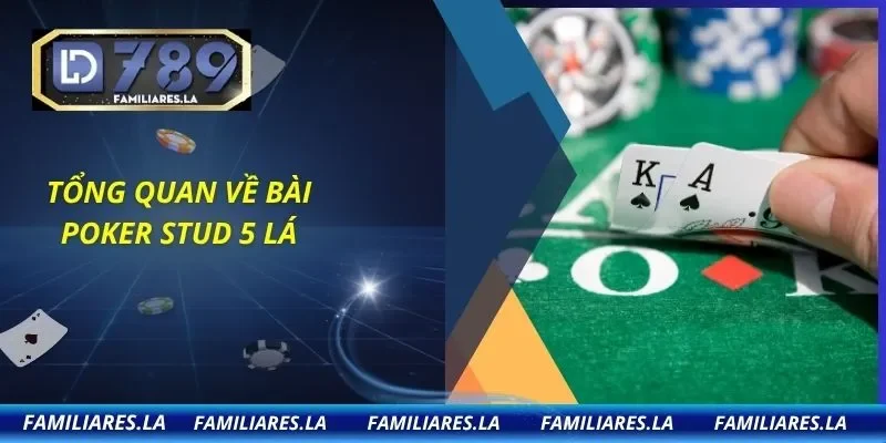 Tổng quan về bài poker stud 5 lá