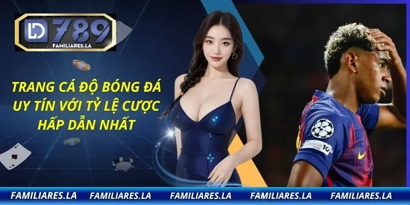 Trang Cá Độ Bóng Đá Uy Tín Với Tỷ Lệ Cược Hấp Dẫn Nhất