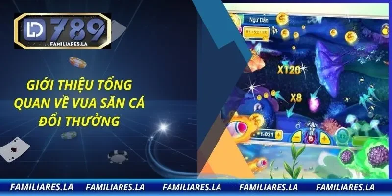 Giới thiệu tổng quan về vua săn cá đổi thưởng