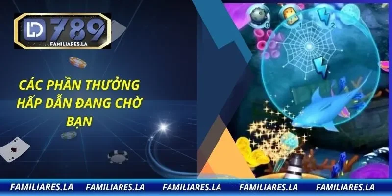 Các phần thưởng hấp dẫn đang chờ bạn